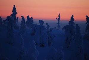 finland-kaamos-the-polar-night