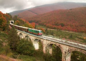 treno su viadotto