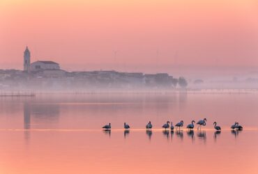 riserva naturale del lago di Lesina (fonte wikipedia)